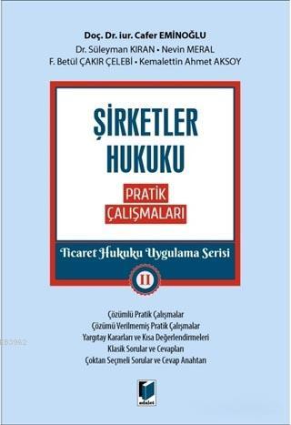 Şirketler Hukuku Pratik Çalışmaları - Ticaret Hukuku Uygulama Serisi 2