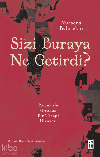 Sizi Buraya Ne Getirdi?;Rüyalarla Yapılan Bir Terapi Hikâyesi | Nursen