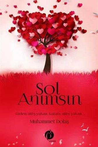 Sol Anımsın | Muhammet Dolaş | Herdem Kitap