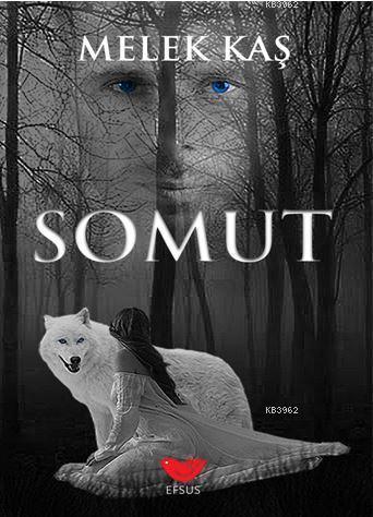 Somut | Melek Kaş | Efsus Yayınları