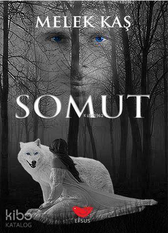 Somut | Melek Kaş | Efsus Yayınları