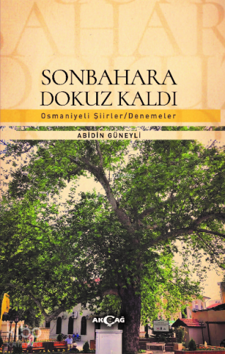 Sonbahara Dokuz Kaldı | Abidin Güneyli | Akçağ Basım Yayım Pazarlama