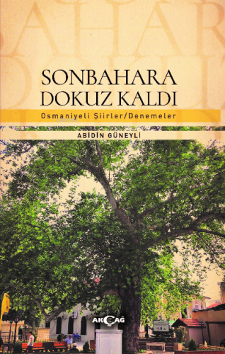 Sonbahara Dokuz Kaldı | Abidin Güneyli | Akçağ Basım Yayım Pazarlama