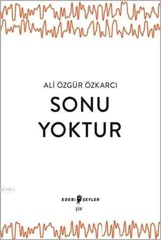 Sonu Yoktur | Ali Özgür Özkarcı | Edebi Şeyler