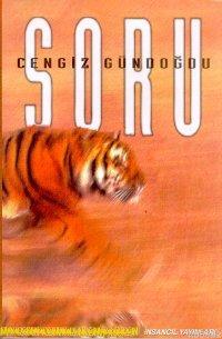 Soru | Cengiz Gündoğdu | İnsancıl Yayınları