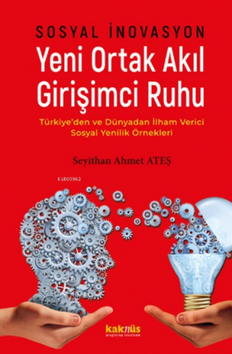 Sosyal İnovasyon Yeni Ortak Akıl Girişimci Ruhu;Türkiye’den ve dünyada