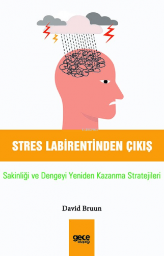 Stres Labirentinden Çıkış;Sakinliği ve Dengeyi Yeniden Kazanma Stratej