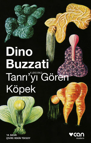 Tanrı'yı Gören Köpek | Dino Buzzati | Can Yayınları