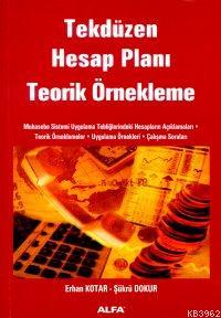 Tekdüzen Hesap Planı Teorik Örnekleme | Erhan Kotar | Alfa Basım Yayım