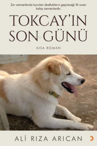 Tokcay’ın Son Günü | Ali Rıza Arıcan | Cinius Yayınları