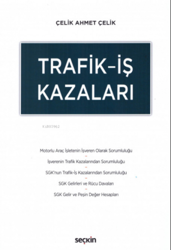 Trafik–İş Kazaları | Çelik Ahmet Çelik | Seçkin Yayıncılık