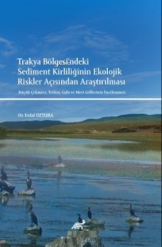 Trakya Bölgesi'ndeki Sediment Kirliliği;Ekolojik Riskler Açısından Ara