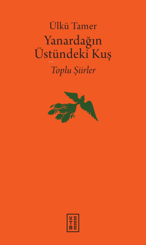 Yanardağın Üstündeki Kuş;Yanardağın Üstündeki Kuş | Ülkü Tamer | Keteb