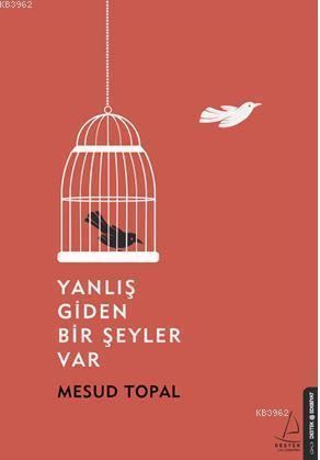 Yanlış Giden Bir Şeyler Var | Mesud Topal | Destek Yayınları