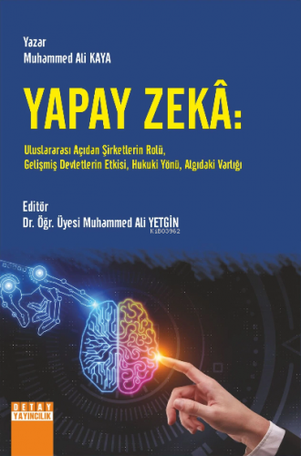 Yapay Zekâ: Uluslararası Açıdan Şirketlerin Rolü, Gelişmiş Devletlerin