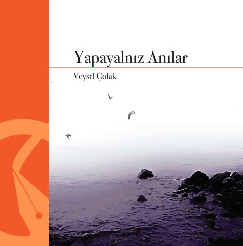 Yapayalnız Anılar | Veysel Çolak | Hayal Yayınları