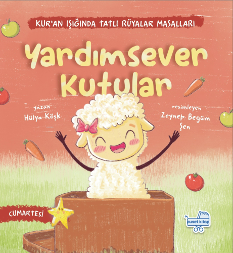 Yardımsever Kutular | Hülya Köşk | Puset Kitap