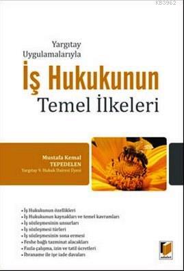 Yargıtay Uygulamalarıyla İş Hukukunun Temel İlkeleri | Mustafa Kemal T