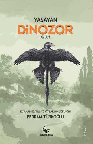 Yaşayan Dinozor - Avian;Kuşların Evrimi ve Atalarının Serüveni | Pedra