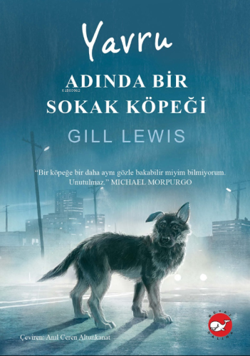 Yavru Adında Bir Sokak Köpeği | Gill Lewis | Beyaz Balina Yayınları