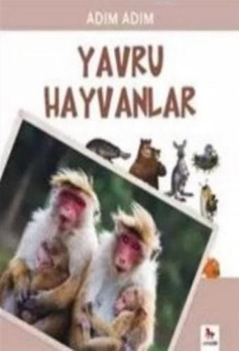 Yavru Hayvanlar | Selen Yağcı | Almidilli Yayınları