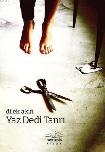 Yaz Dedi Tanrı | Dilek Akın | Nemesis Kitap