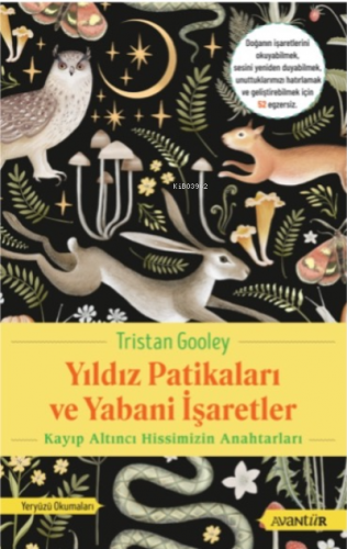 Yıldız Patikaları ve Yabani İşaretler ;Kayıp Altıncı Hissimizin Anahta