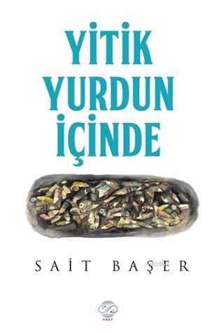 Yitik Yurdun İçinde | Sait Başer | Post Yayınevi