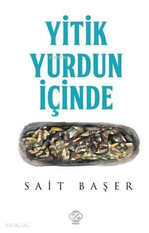 Yitik Yurdun İçinde | Sait Başer | Post Yayınevi