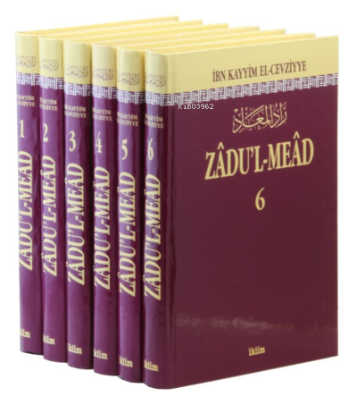 Zadu'l Mead Tercümesi (6 Cilt Takım); Resulullah'ın (s.a.v.) Yolunda |