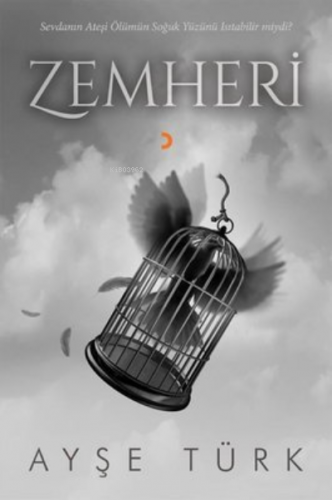 Zemheri | Ayşe Türk | Cinius Yayınları