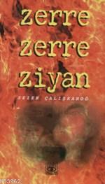 Zerre Zerre Ziyan | Sezer Çalışkanoğ | Aşiyan Yayınları