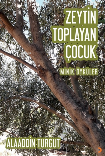 Zeytin Toplayan Çocuk | Alaaddin Turgut | Cinius Yayınları