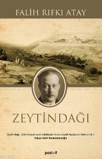 Zeytindağı | Falih Rıfkı Atay | Pozitif Yayınları