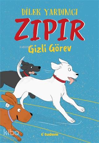 Zıpır Gizli Görev | Dilek Yardımcı | Tudem Yayınları - Kültür