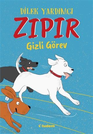 Zıpır Gizli Görev | Dilek Yardımcı | Tudem Yayınları - Kültür