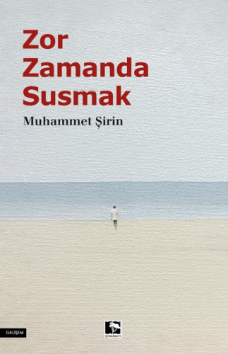 Zor Zamanda Susmak | Muhammet Şirin | Çınaraltı Yayın Dağıtım